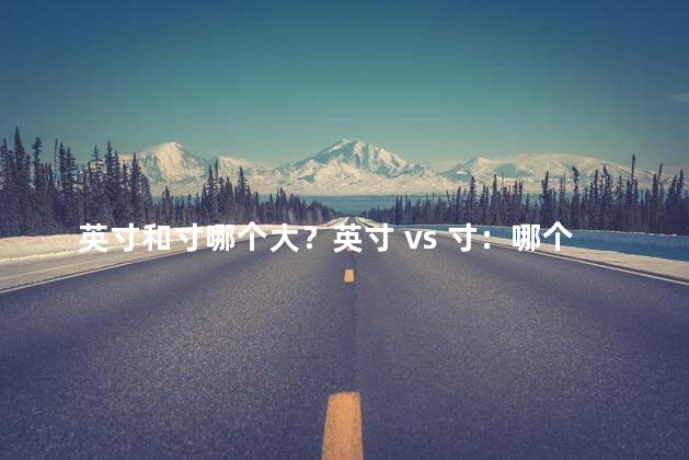 英寸和寸哪个大？英寸 vs 寸：哪个更大？